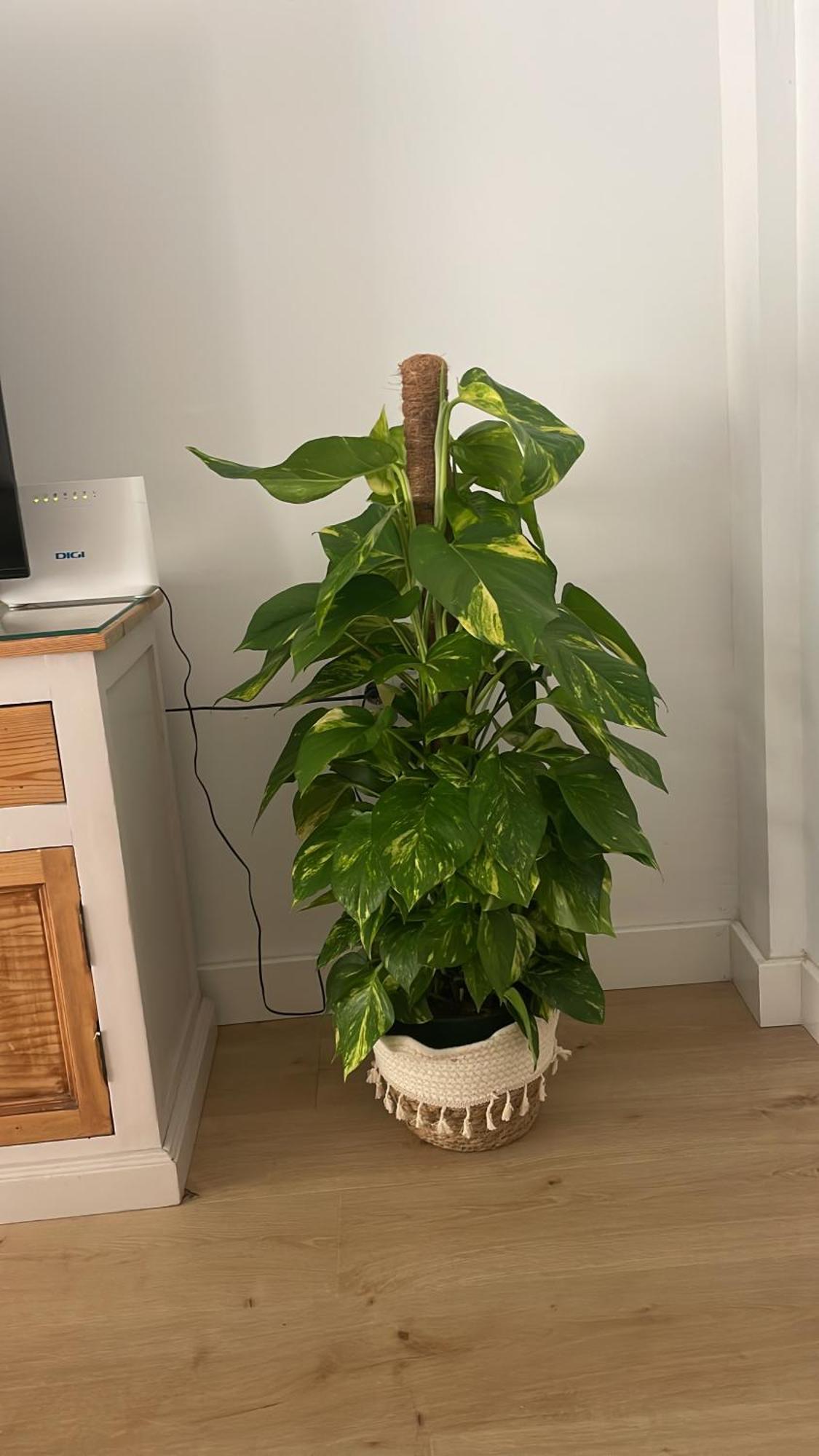 Exclusivo Apartamento Cerca De La Playa 马拉加 外观 照片